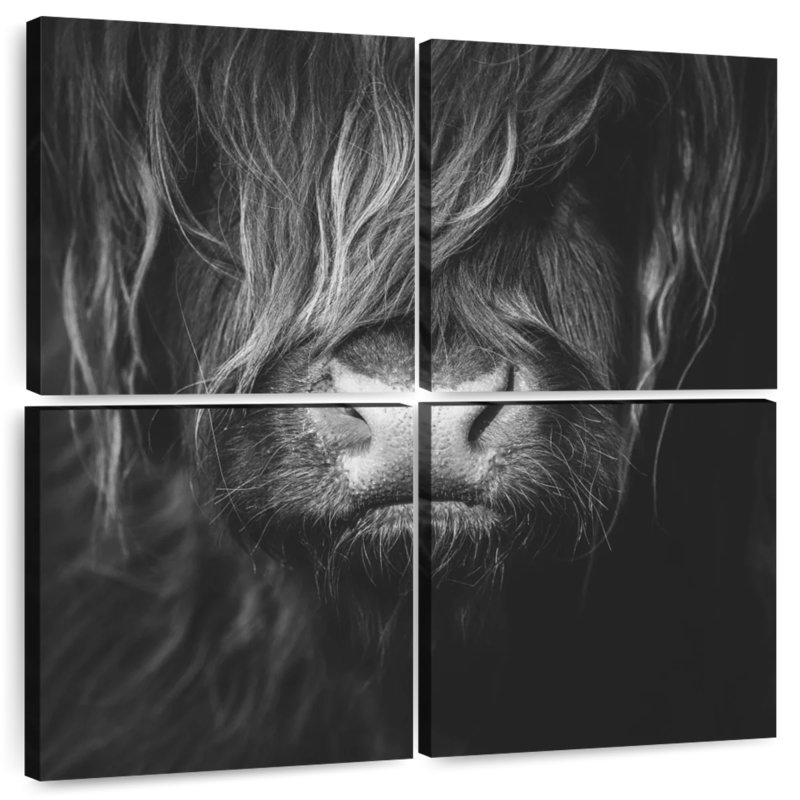 Visage de vache Brampt Highland, H 26 po x l 26 po