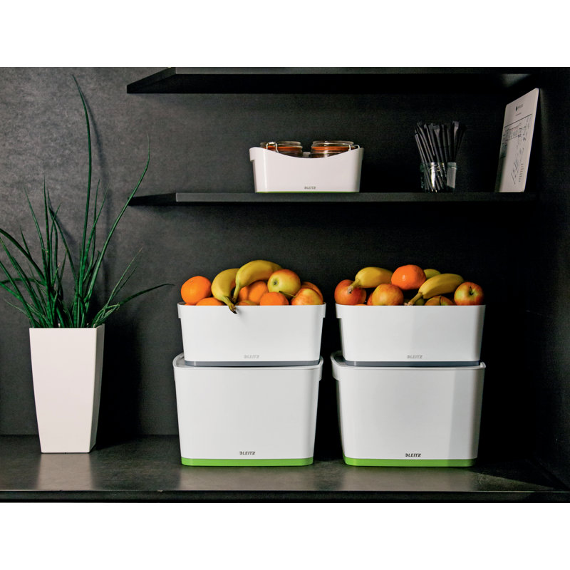 Leitz Plastic Decorative Bin, 31.8cm H x 19.8cm W x 38.5cm D, 18L, White/Green