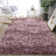 Alaunna Standard Shag Area Rug