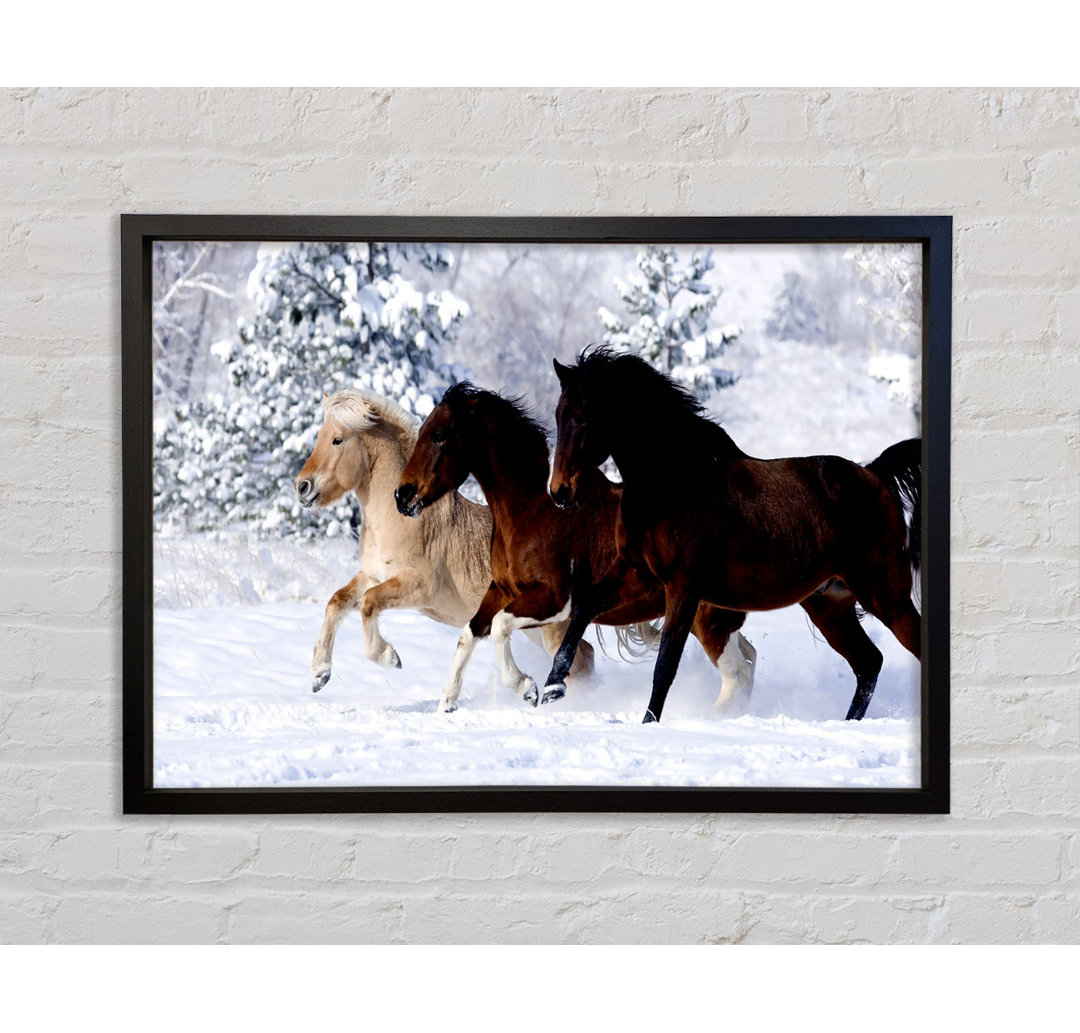 Wild Winter Horses Running - Einzelbildrahmen Kunstdrucke auf Leinwand