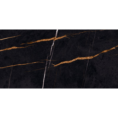 23.46" x 47" Sahara Noir Polish Porcelain Tile