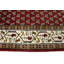 Tapis rouge Indo-Botemir 3X9