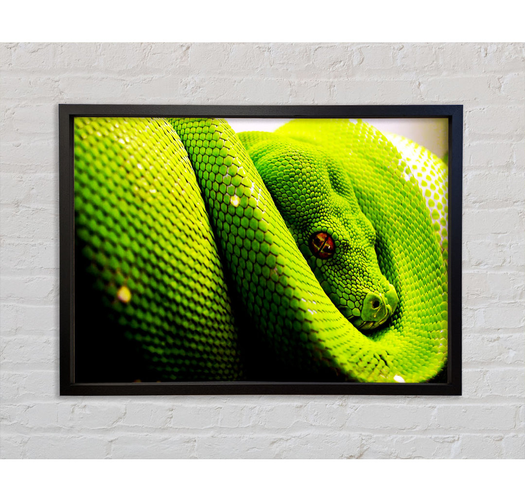 Green Snake Huddle - Einzelner Bilderrahmen Kunstdrucke auf Leinwand