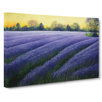 Glorious Bluebell Field - Wrapped Canvas