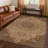 Machine Washable Indoor/Outdoor Chantille ACN2543 Global Rug-1252221043-1252221044