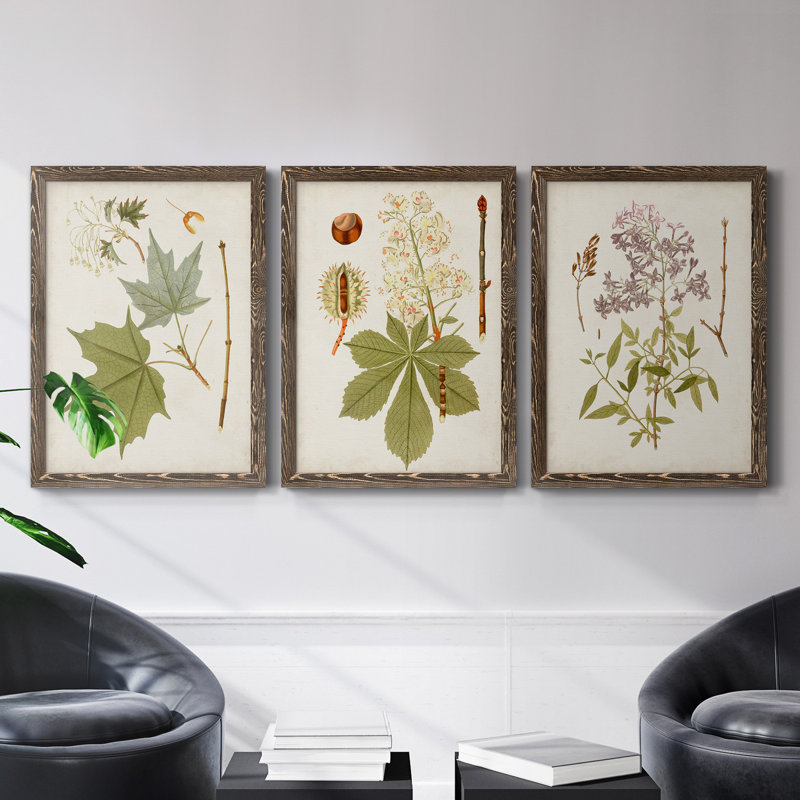 «Antique Leaves VII», ensemble de 3 peintures sur toile encadrées, Noyer, H 100 po x l 31,5 po x P 1 po