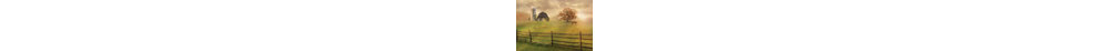 Gracie Oaks Deiter, Lori Gallery Wrapped Canvas Art Titled: Graze On-744329885