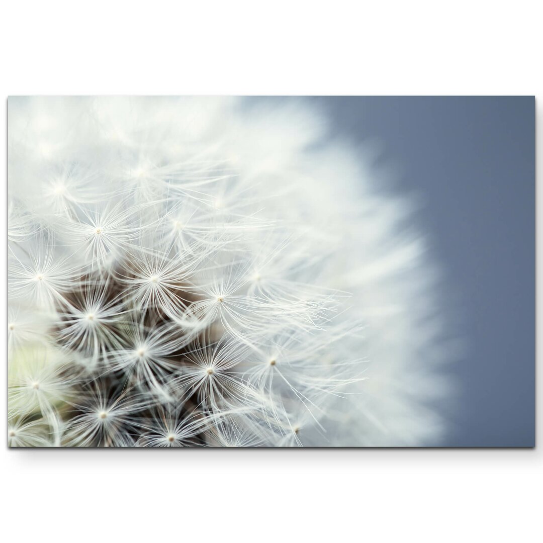 Leinwandbild Pusteblume - Nahaufnahme