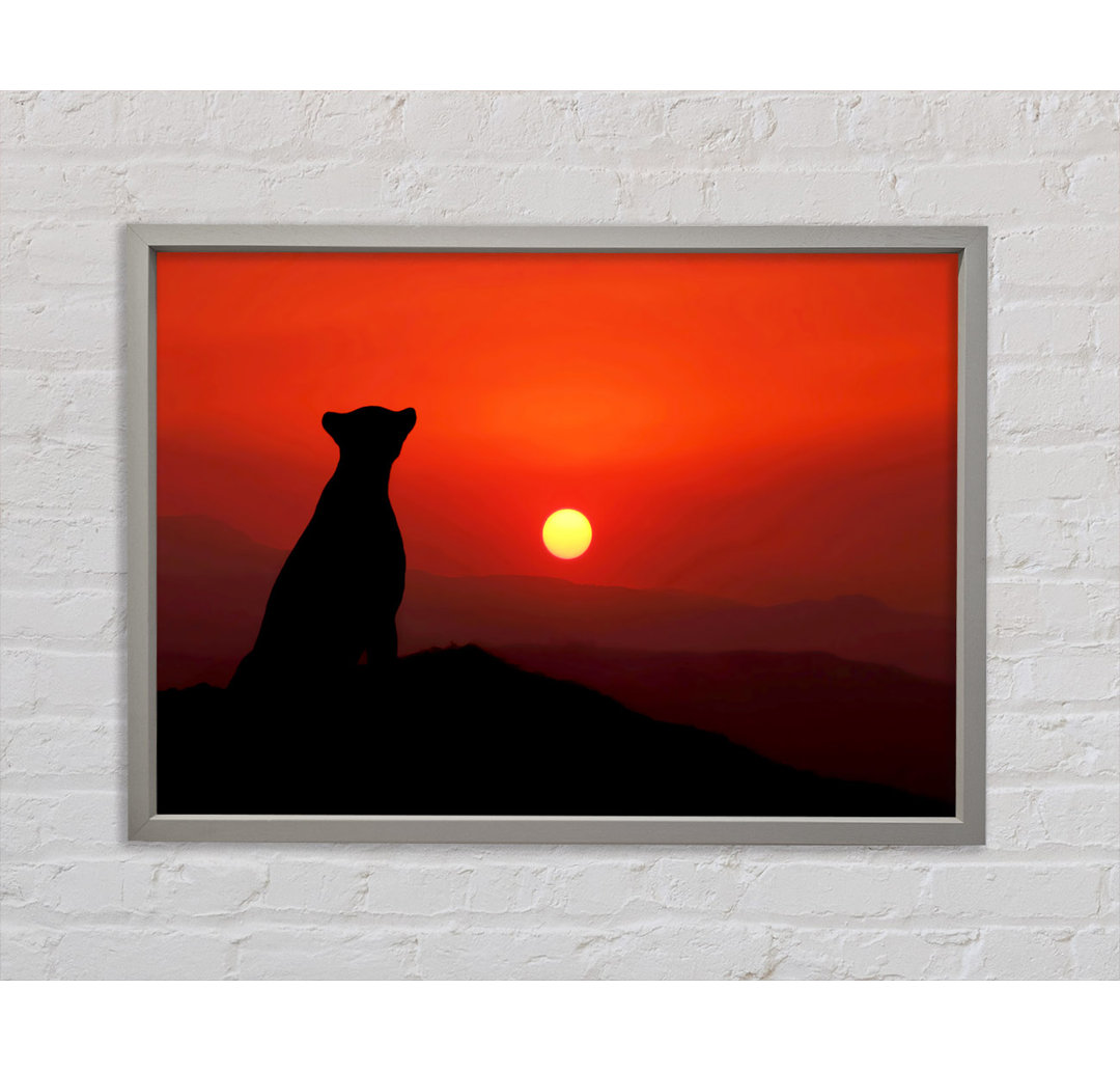 Panther Sunset - Einzelner Bilderrahmen Kunstdrucke auf Leinwand