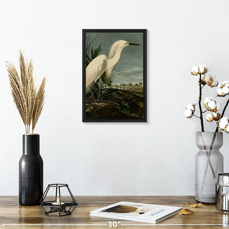 Héron enneigé ou aigrette blanche, 9 po x 13 po, Cadre flottant noir