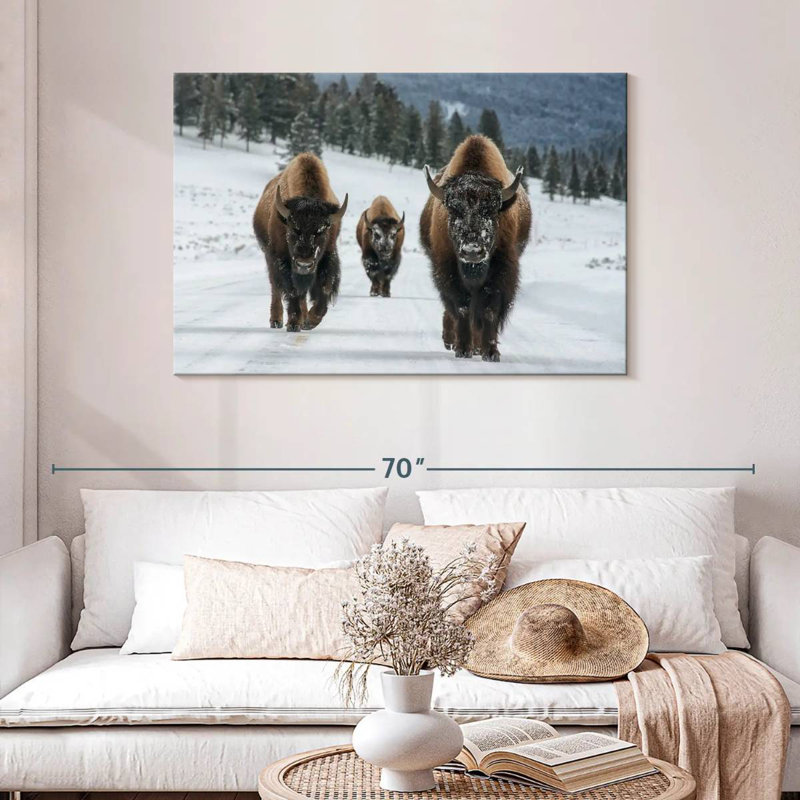 Photographie d'un bison de Brampt à Yellowstone, H 30 po x l 45 po