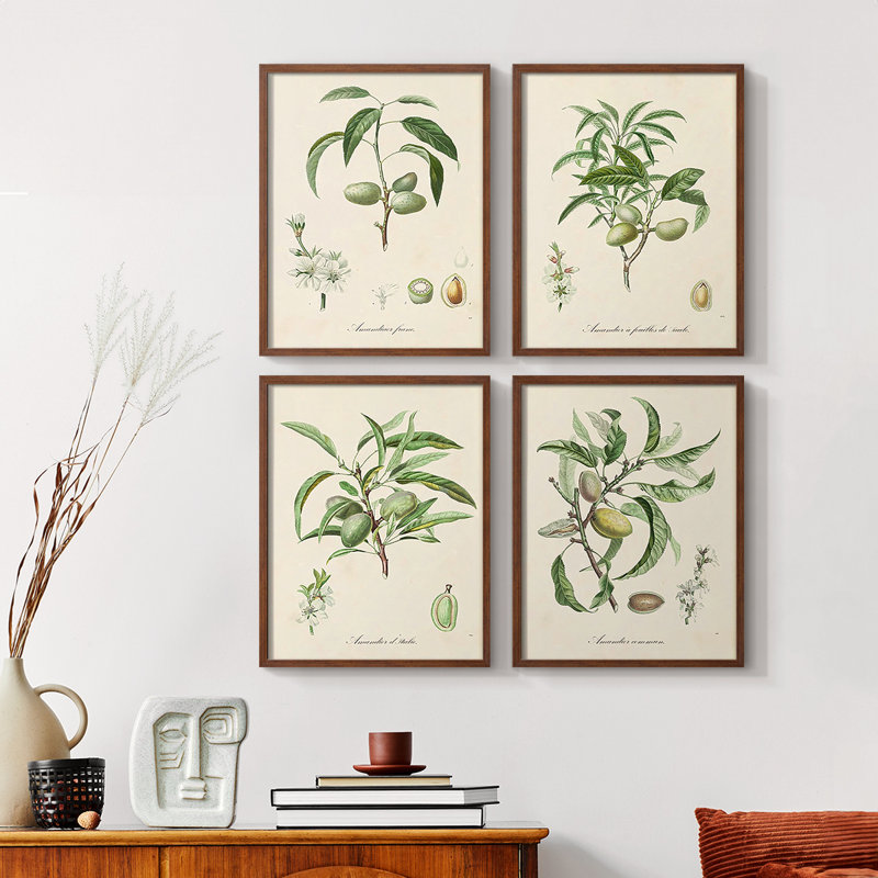 Feedback Loop I Framed Print - Set of 4, Walnut, 20" H x 16" W