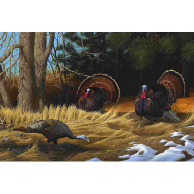 " Turkeys " by Leo Stans