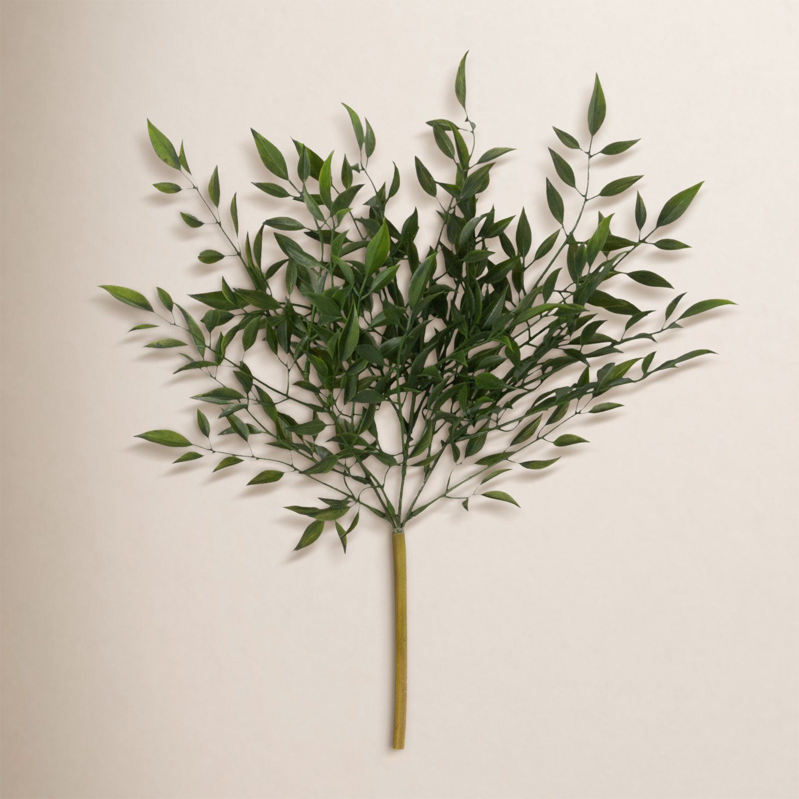 Quiller Ruscus Stems