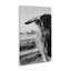 Bébé bovin sur toile monochrome, design par Dakota Diener-1163484039