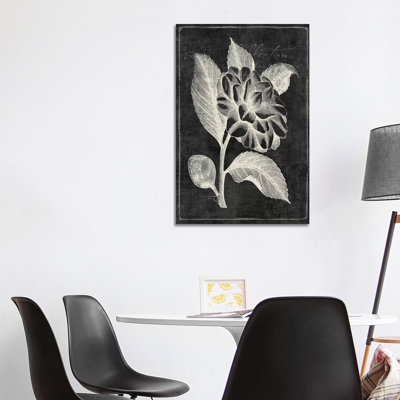 Black Botanical II by PI Galerie - Wrapped Canvas Panoramic Painting