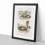 Coral Snake & Cobra Illustrations by Charles D' Orbigny - Picture Frame Painting Print-55510388-55510389