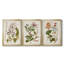 «Vintage Flowering Trees II», ensemble de 3 impressions sur toile encadrées-428839006-428839004