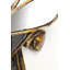 Parrot Mirror 15cm x 43cm Wall Décor