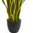 Sansevieria Artificial Plant