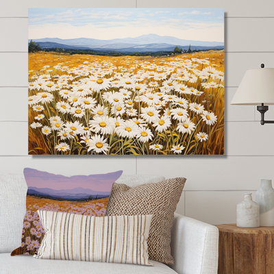 Symphonie de marguerites blanches sur le terrain