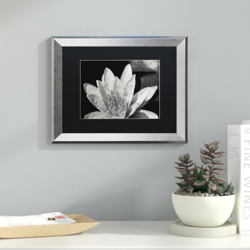 Nénuphar en noir et blanc - reproduction de photo sur toile encadrée, H 16 po x l 20 po x P 0,5 po