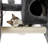 Farzan 33.8'' H Cat Tree-1227025182