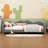 Dashona Full Size Upholstered Sherpa Fabric Sofabed With Cloud-Shaped Backrest-923243782-929316530