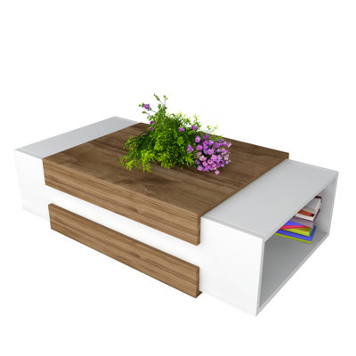 Malaspina Coffee Table