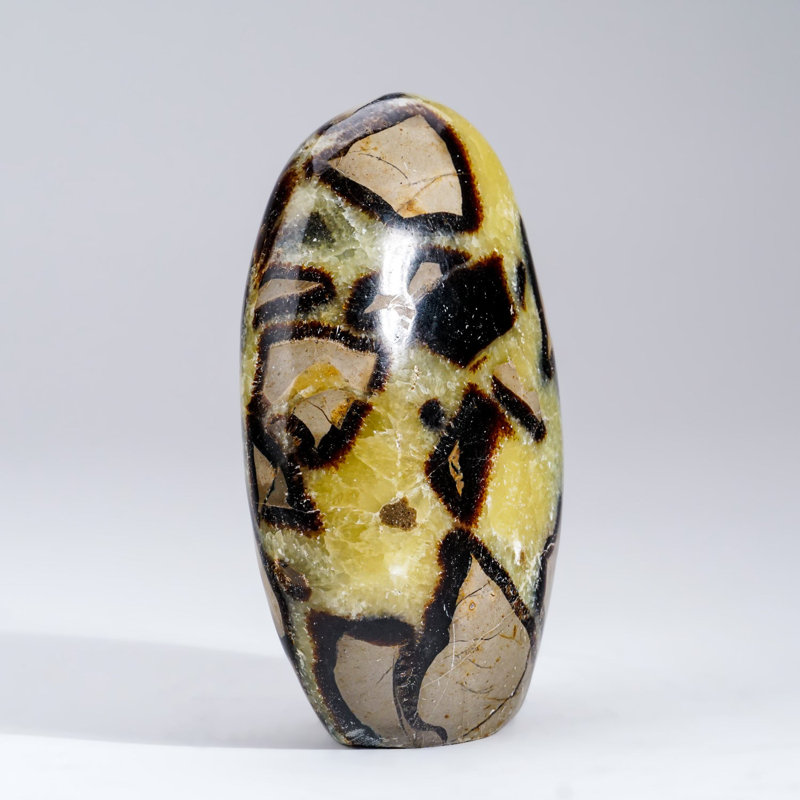 Polished Septarian Freeform from Madagascar (1.6 Lbs)