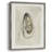 Soft Half Shell I Framed Print - Solid Wood-1014494750