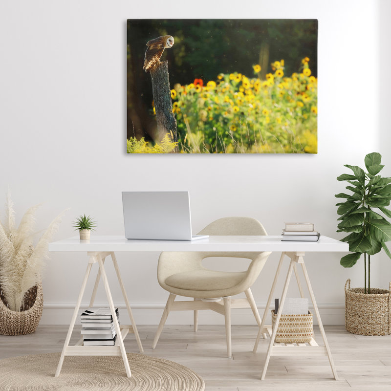 Chouette perchée dans un pré, art mural sur toile par Carrie Ann Grippo-Pike, Toile tendue, H 16 po x l 24 po x P 1,5 po