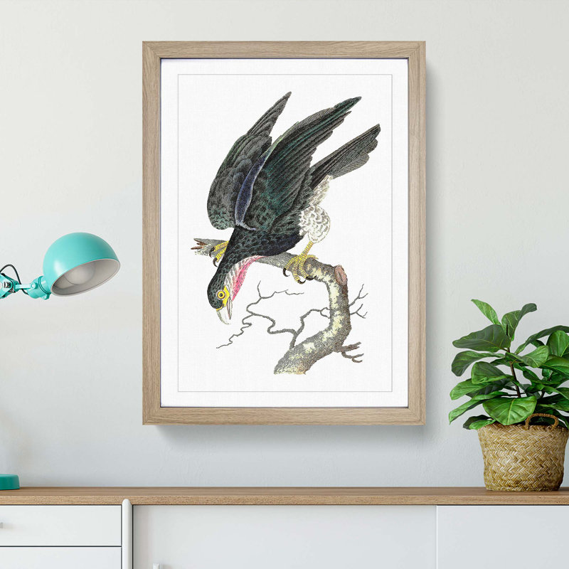 Blue Falcon by George Shaw - Picture Frame Painting, 60cm H x 40cm W x 2cm D, Oak
