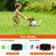 Collier pour chien