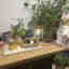 Photos des clients 1 de 4