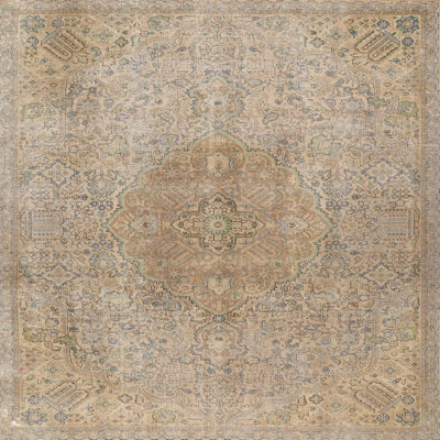 Oriental Indoor Rug