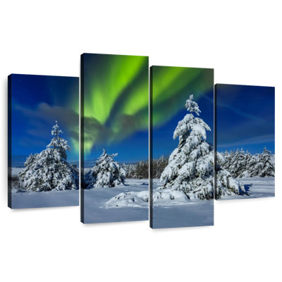 Alvord Winter Northern Lights