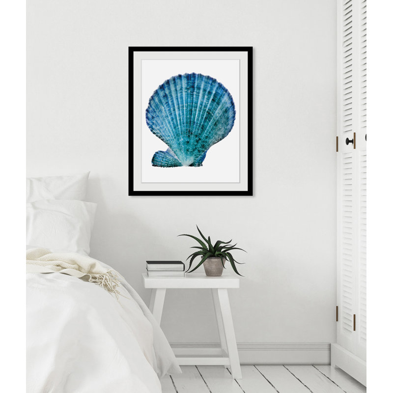 Shell - Single Picture Frame Print