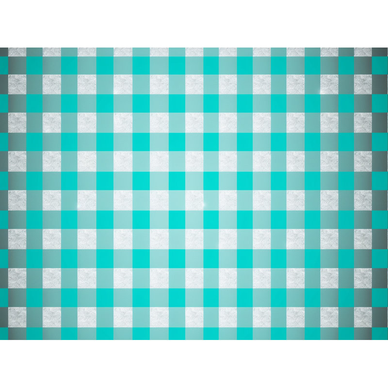 Rideau de douche Nellye Gingham, H 93 po x l 70 po