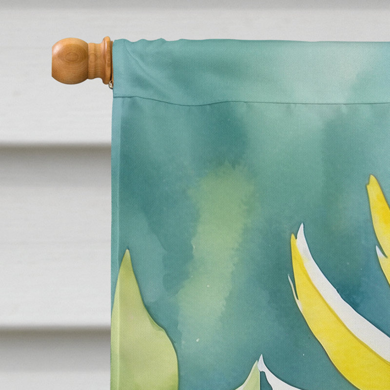 House Flag, Sulphurcrested Cockatoo