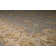 Garrity Oriental Indoor Rug