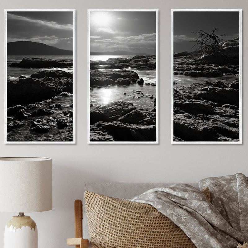 «Black and White Rocky Beach - Coastal Coral Under Water», ensemble d'art mural, Cadre flottant blanc