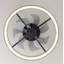 Kiper 13.78'' Ceiling Fan with LED Lights