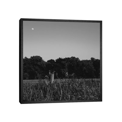 Summer Moon II by Bethany Young - Print on Canvas