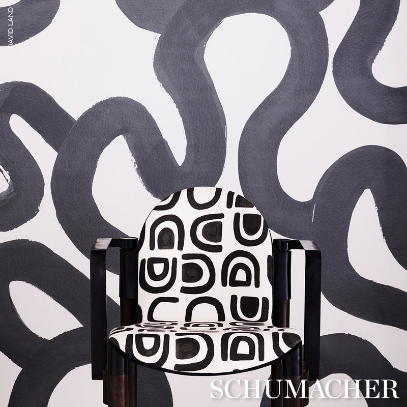 Schumacher x Hadiya Williams Threshold Wallpaper, Carbon
