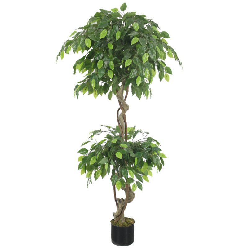 Anivea 150cm Faux Ficus Tree in Pot
