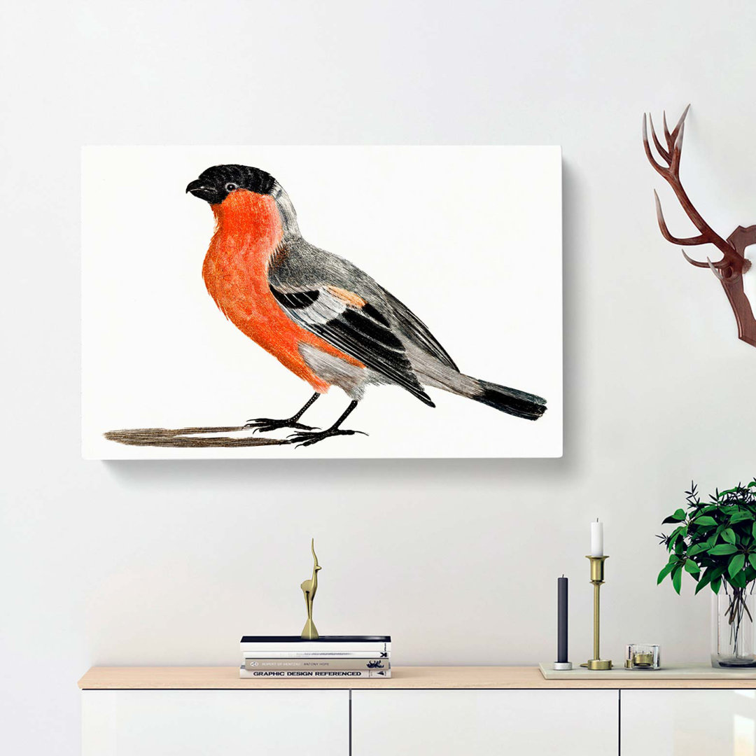 A Bullfinch by Johan Teyler - Wrapped Canvas