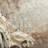 Jens Indoor Rug-1414509670