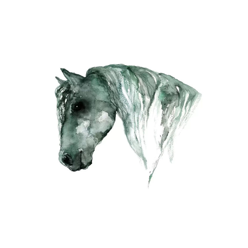 Horse by ANDA Design - Wrapped Canvas Gallery-Wrapped Canvas Giclée, 20.32 cm H x 30.48 cm W