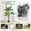  Grand palmier tropical artificiel 5,3 pi
